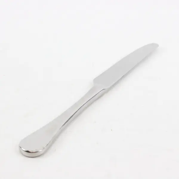 Ginkgo Flatware Lafayette Pattern 18/10 Stainless Solid Dinner Knife 9.75" Good