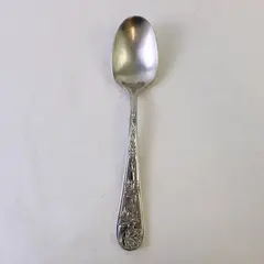 Retroneu Leaf Garden Stainless Steel Oval Soup Spoon 7.75 in