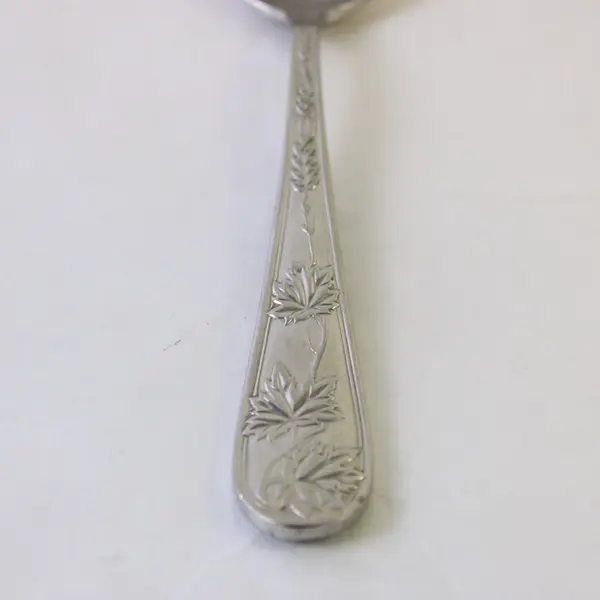 Retroneu Leaf Garden Stainless Steel Oval Soup Spoon 7.75 in