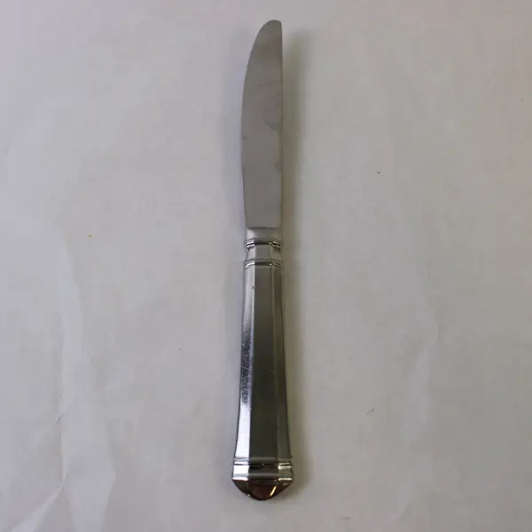 Pfaltzgraff Hannah 18/8 Stainless Steel Dinner Knife 9in