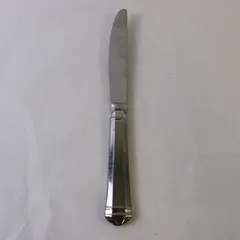 Pfaltzgraff Hannah 18/8 Stainless Steel Dinner Knife 9in