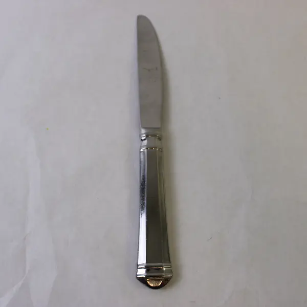 Pfaltzgraff Hannah 18/8 Stainless Steel Dinner Knife 9in