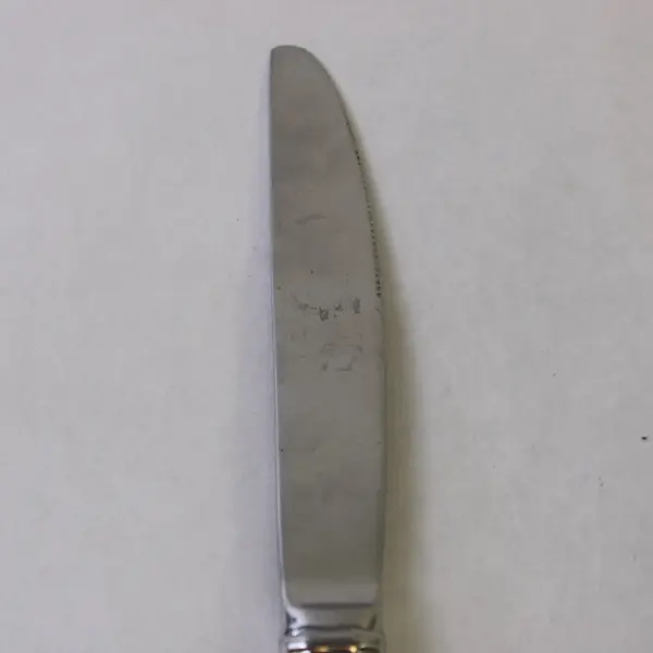 Pfaltzgraff Hannah 18/8 Stainless Steel Dinner Knife 9in