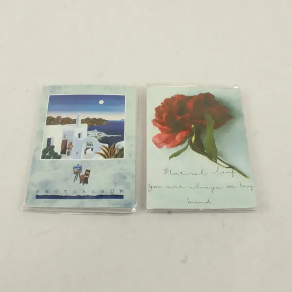Lot of 2 Small Photo Albums 36 4x6 Thomas McKnight Mykonos Harbor Floral