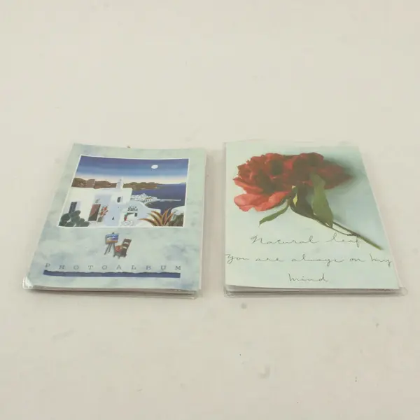 Lot of 2 Small Photo Albums 36 4x6 Thomas McKnight Mykonos Harbor Floral