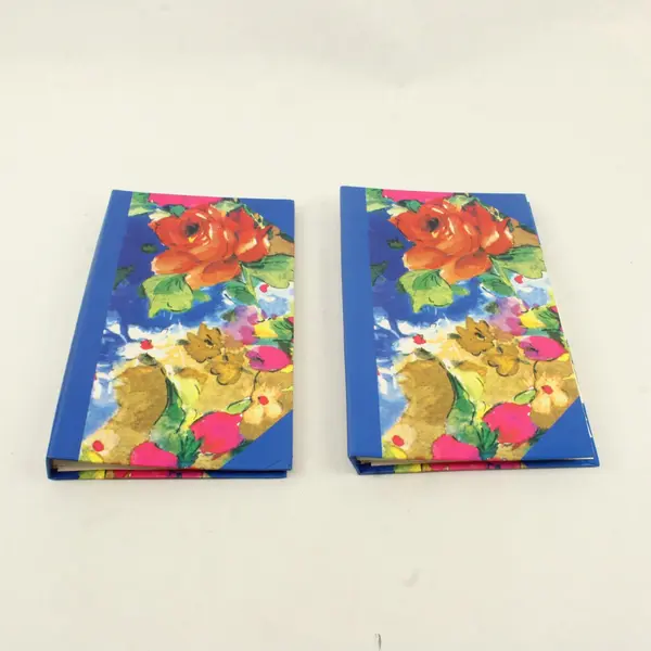 Lot of 2 Blue Floral 4x6 Photo Albums 76-Pocket Used