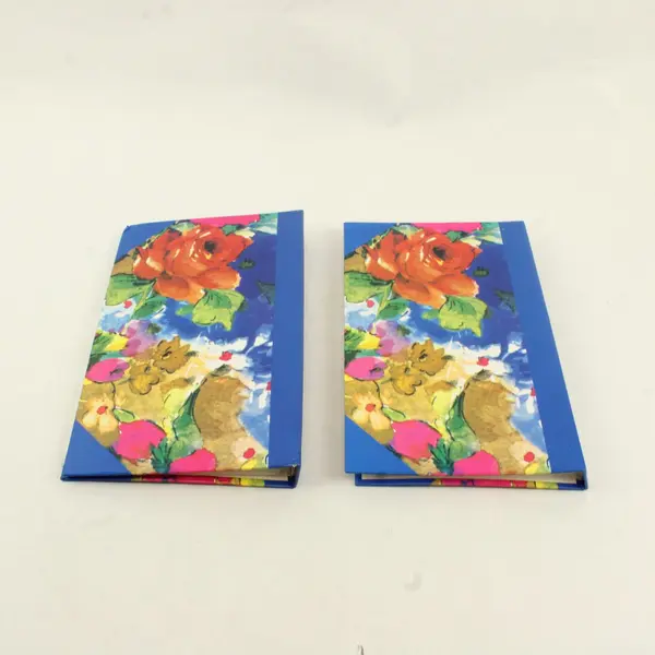 Lot of 2 Blue Floral 4x6 Photo Albums 76-Pocket Used