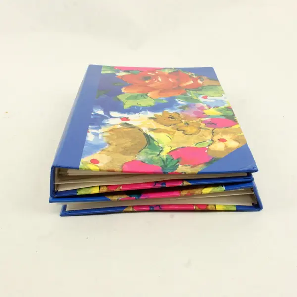 Lot of 2 Blue Floral 4x6 Photo Albums 76-Pocket Used