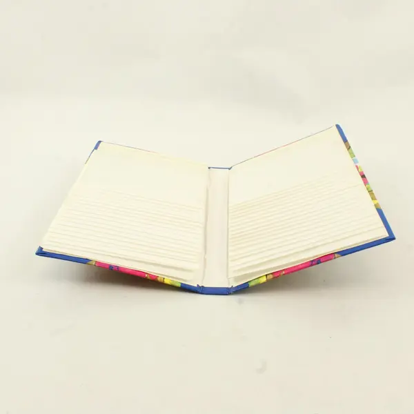 Lot of 2 Blue Floral 4x6 Photo Albums 76-Pocket Used