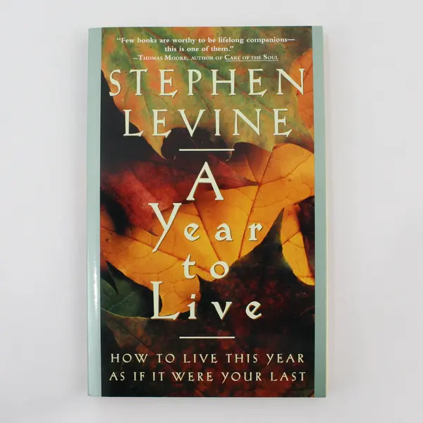 A Year to Live Stephen Levine 1997 Paperback Bell Tower Self-Help