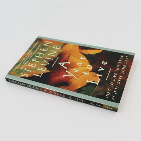 A Year to Live Stephen Levine 1997 Paperback Bell Tower Self-Help
