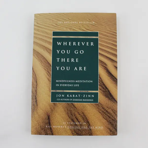 VTG Wherever You Go There You Are Mindfulness Meditation Jon Kabat-Zinn 1994 PB