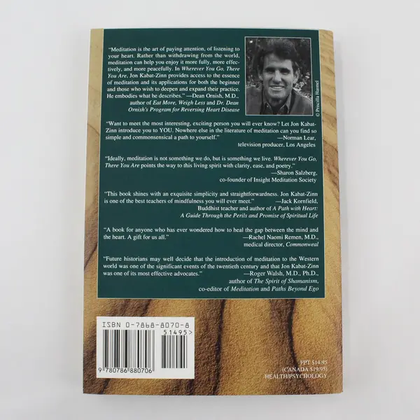 VTG Wherever You Go There You Are Mindfulness Meditation Jon Kabat-Zinn 1994 PB
