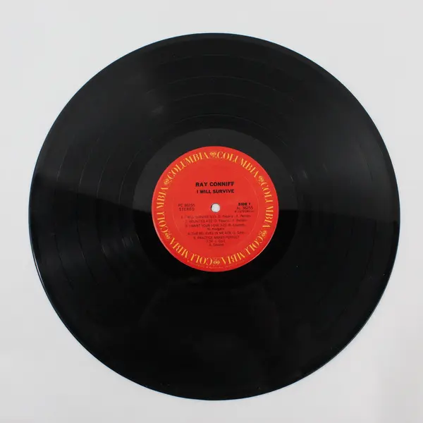 Ray Conniff - I Will Survive 12" Vinyl Record