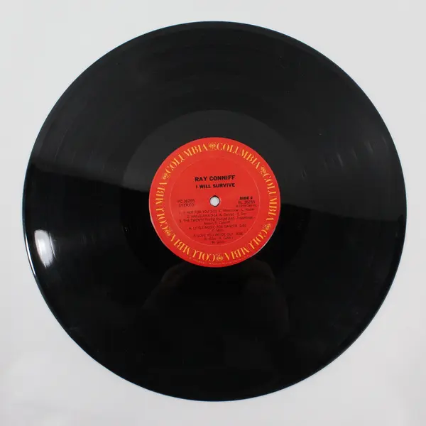Ray Conniff - I Will Survive 12" Vinyl Record