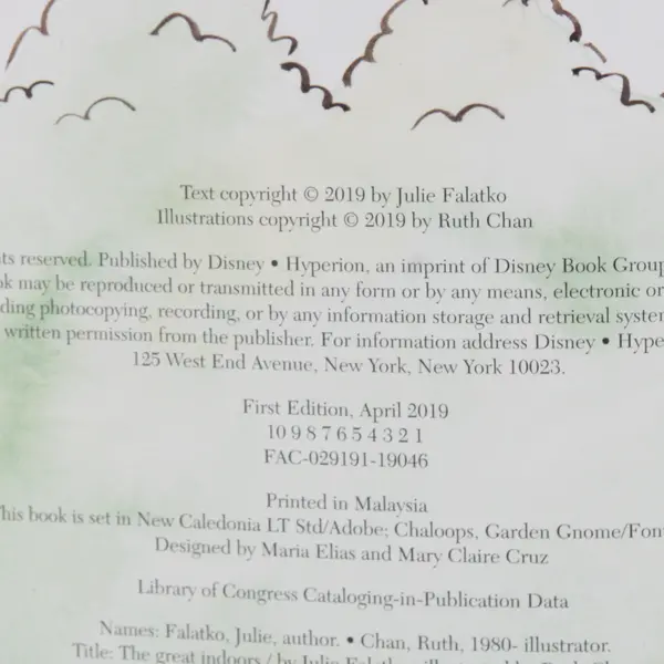 Julie Falatko The Great Indoors 2019 1st Edition Hardcover Dust Jacket