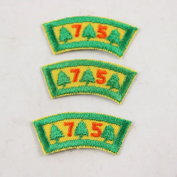 Vintage Lot Of 8 Girl Scout Patches - 1988