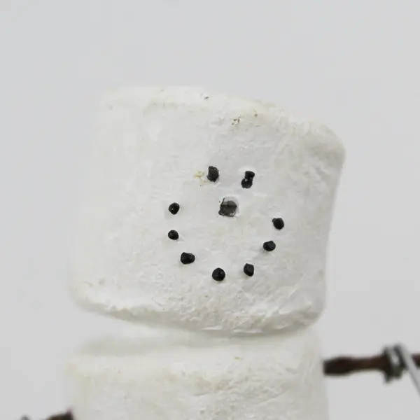  Midwest of Cannon Falls Original S'MORES Gimme S'more Refrigerator Magnet