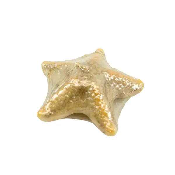 Lot of 3 Beach Motif Decorative Candles Seashell Starfish Coastal Decor