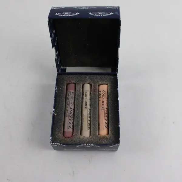 Winsor & Newton Artists Soft Pastels 3ct Box Gold Ochre Raw Umber Caput Mortuum