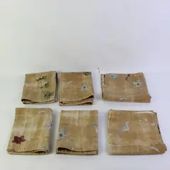 2 Beige Floral Botanical Placemats 4 Linen Napkins Set