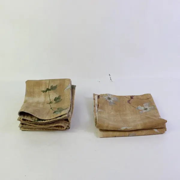 2 Beige Floral Botanical Placemats 4 Linen Napkins Set