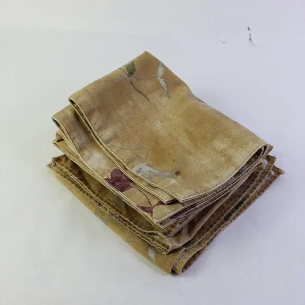 2 Beige Floral Botanical Placemats 4 Linen Napkins Set