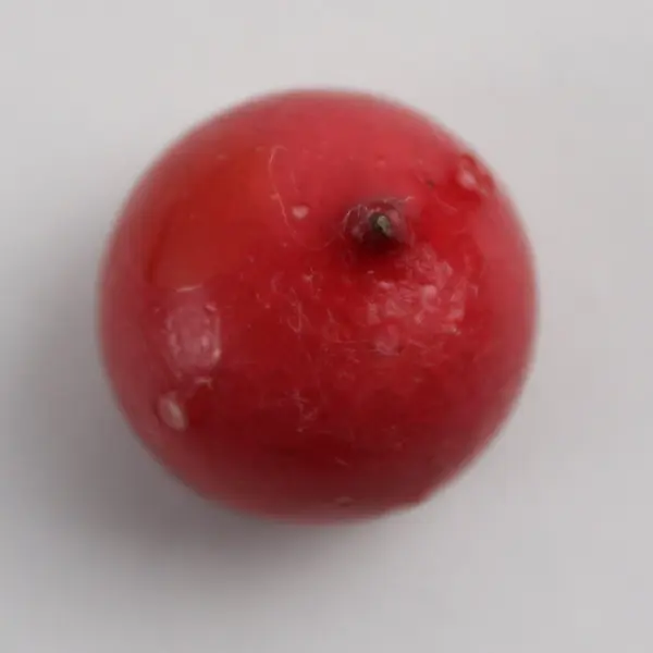 1/2 Lb Lot Artificial Cranberries DIY Holiday Crafts