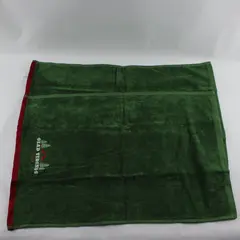 Set of 2 St. Nicholas Square Glad Tidings Embroidered Green Kitchen Towels