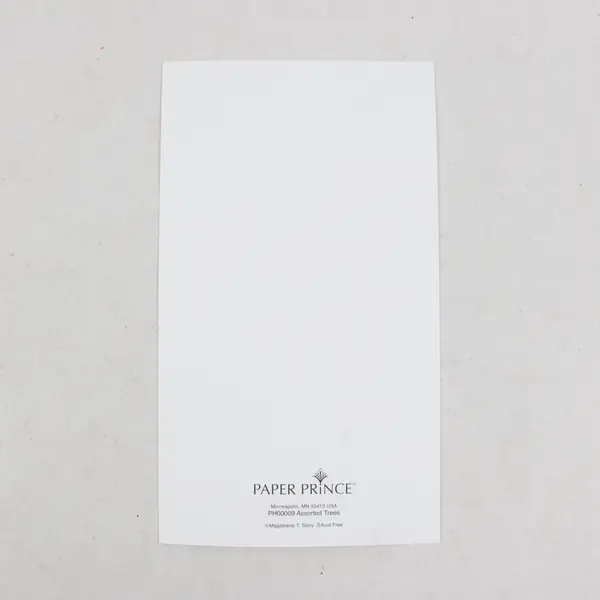 Set of 9 Paper Prince Christmas Holiday Party Invitations with Envelopes UNUSED