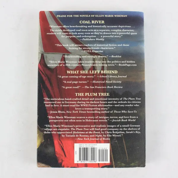 The Life She Was Given - Paperback By Ellen Marie Wiseman