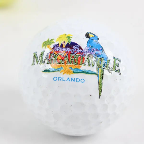 Lot of 10 Assorted Golf Balls Nike Spalding Pinnacle Flying Lady Used