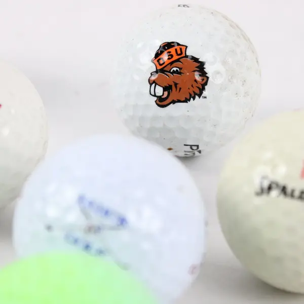 Lot of 10 Assorted Golf Balls Nike Spalding Pinnacle Flying Lady Used