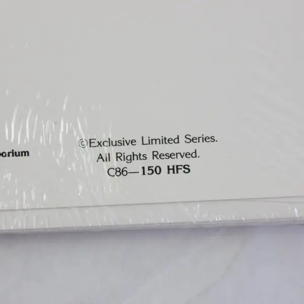 Harrison Fisher Society 10 New Year Greeting Cards C86-150 HFS New