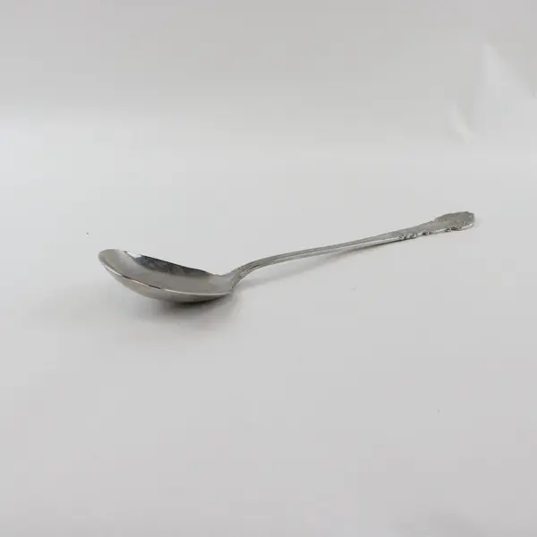 Reed & Barton Renaissance Stainless Steel Spoon Flatware