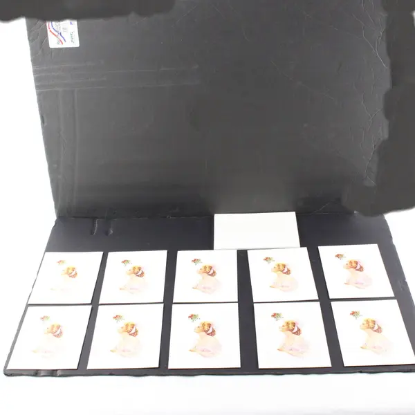 Set of 10 Harrison Fisher Society Anticipation Christmas Greeting Cards UNUSED