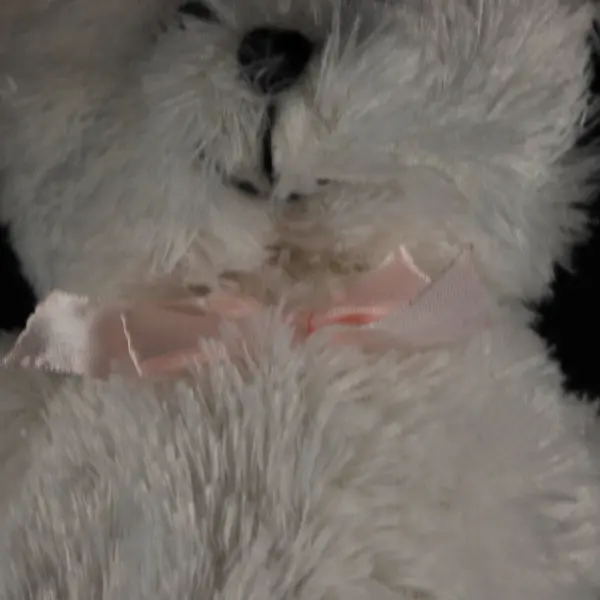 Cuddly Cousins White Bear Plush with Pink Bow 20"