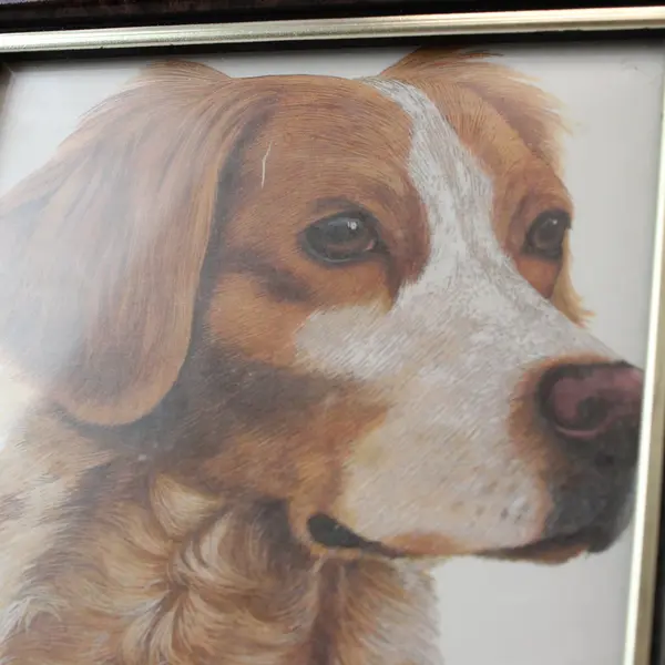 Signed Robert J. May Framed Dog Portrait Print in Frame