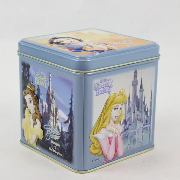 Disney Princess Tin Walt Disney World Collectible Souvenir