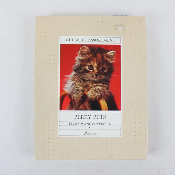Assorted Get Well Cards with Envelopes Perky Pets Box