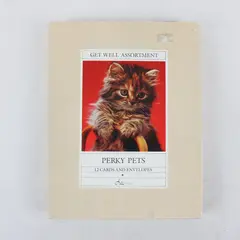 Assorted Get Well Cards with Envelopes Perky Pets Box