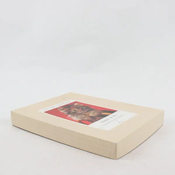 Assorted Get Well Cards with Envelopes Perky Pets Box