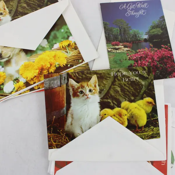 Assorted Get Well Cards with Envelopes Perky Pets Box