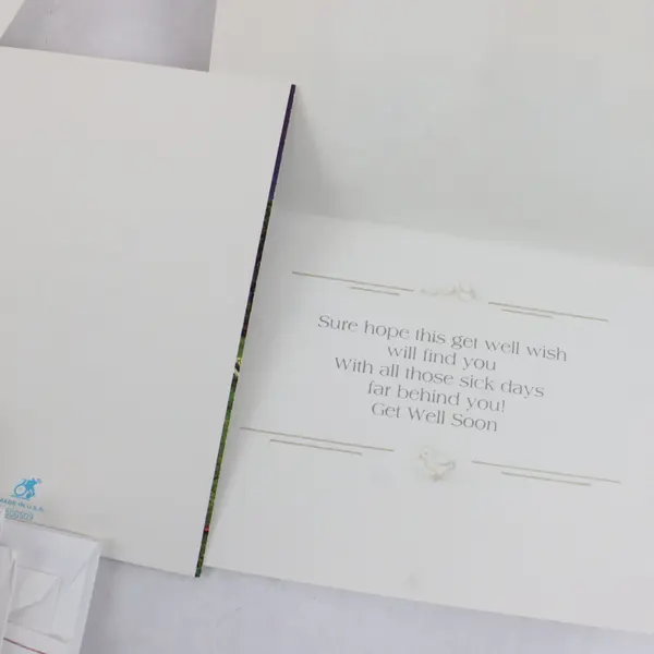 Assorted Get Well Cards with Envelopes Perky Pets Box