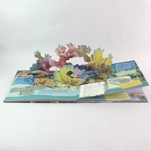 Kris Hirschmann Pop-Up Wonders Natural Wonders Hardcover Silver Dolphin