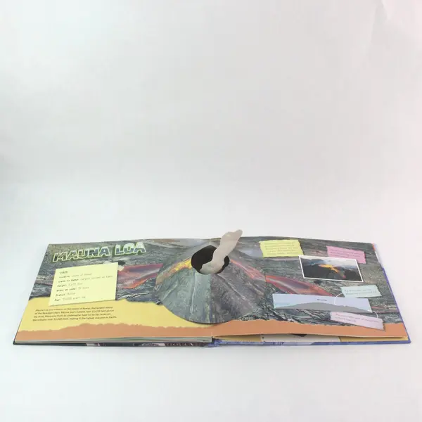Kris Hirschmann Pop-Up Wonders Natural Wonders Hardcover Silver Dolphin