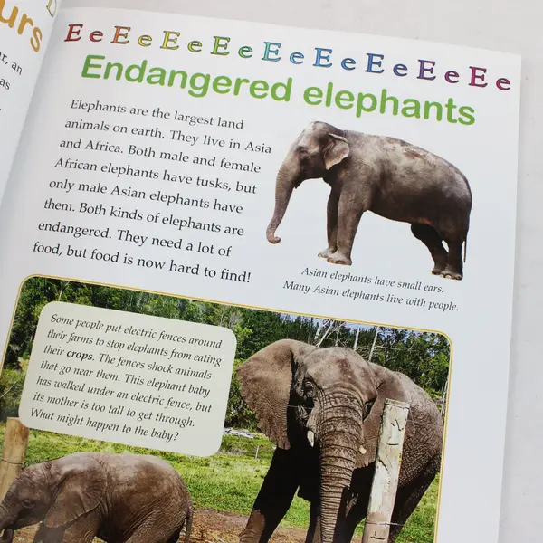 The ABCs of Endangered Animals by Bobbie Kalman - Paperback