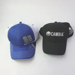 Lot of 2 Dale Jr 88 NASCAR Nike Legacy91 Dri-FIT Cambia Portland Classic Caps