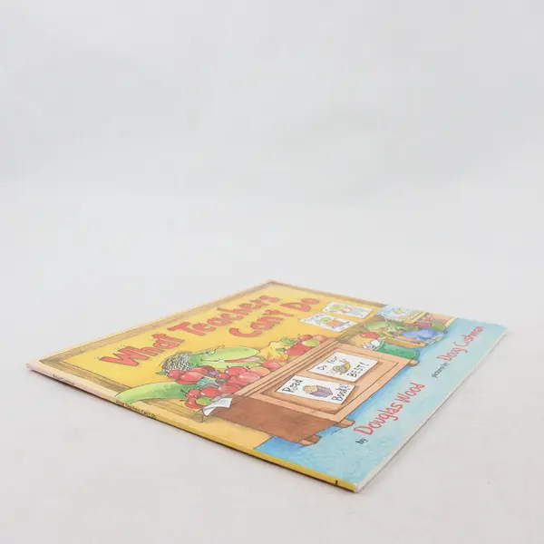 What Teachers Can't Do Douglas Wood Paperback