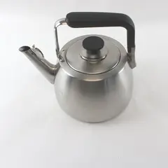 Sur La Table 3L Stainless Steel Tea Kettle